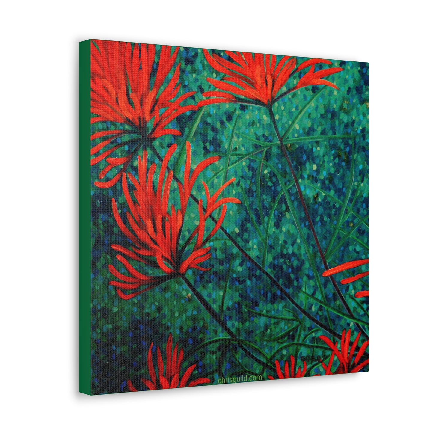 INDIAN PAINTBRUSH CANVAS PRINT