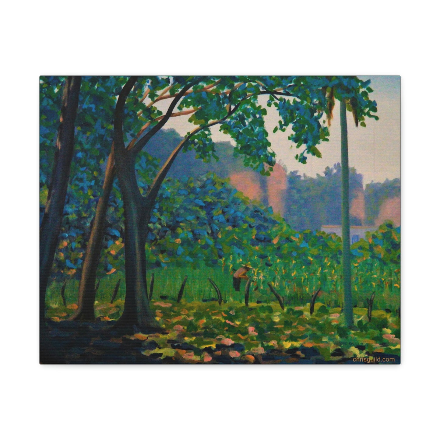 CHATO'S CORN CANVAS PRINT